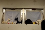 DSC007766.jpg