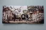 DSC013144.jpg