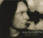 Levee Town