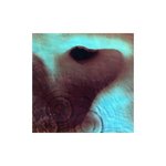 耳ジャケ