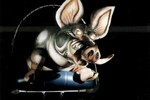 Pig