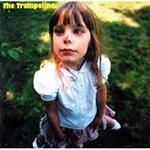 The Trampolines.jpg