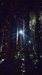 mirrorball.jpg
